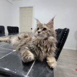 FB_IMG_1756156907153