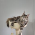 Screenshot_20250906_192058_Gallery